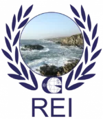 renewable energy institute logo sustainable energy training 733x800